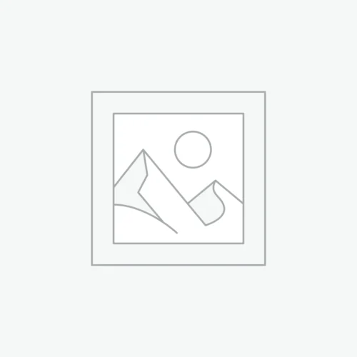 SP2S一代经典通用煙蛋<br>[買十送一盒]